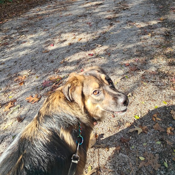 Meet your Posher, Lori - Picture 1 of 1